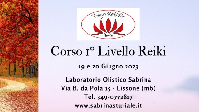 Corsi e Serate Reiki