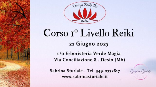 Corso Reiki